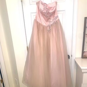 Gorgeous blush pink David’s Bridal gown